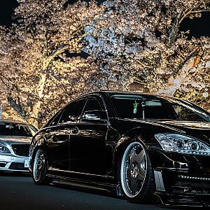cinematic 3 Brothers Mercedes W221 S550L x Japan KYOTO Sakura 2025